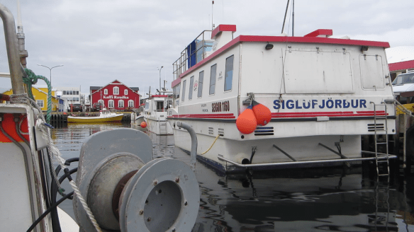 Á sjóstöng og skel með Daða á fleyg