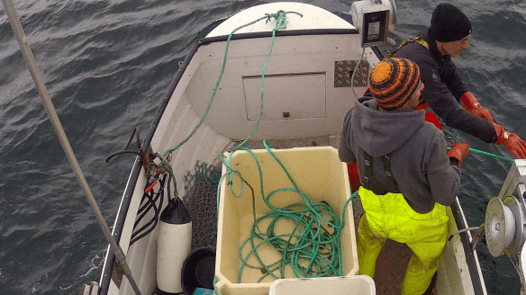 Á sjóstöng og skel með Daða á fleyg