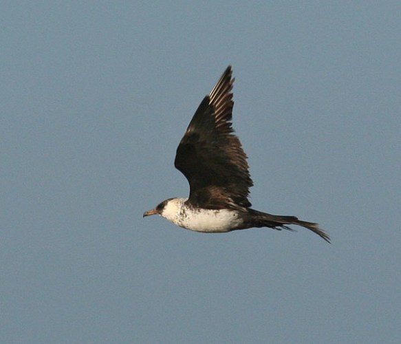 5468543709_afe1b4f202_z