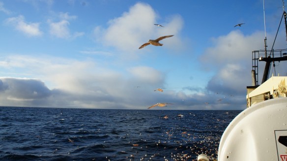 25 júní. Klukkan 5 að rússneskum tíma