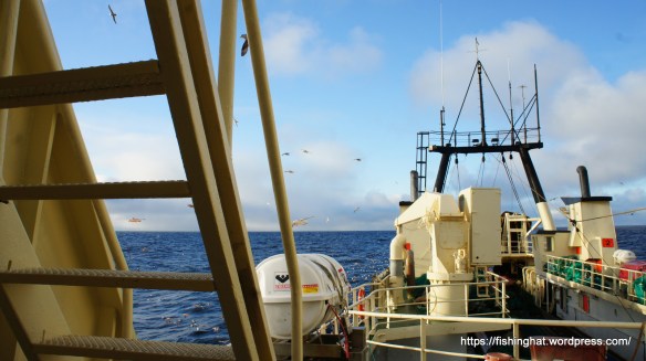 Sony myndavélin og Picasa 3