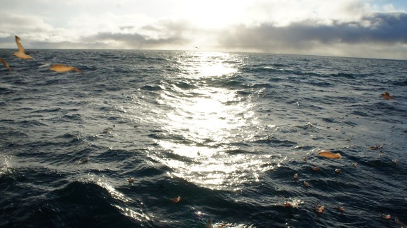 25. júní sólin hátt á lofti.