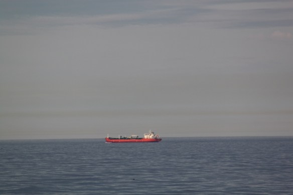 Flutningaskip á ferð