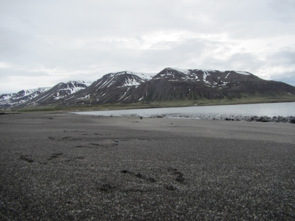 Haganesvík 1.6. 2014