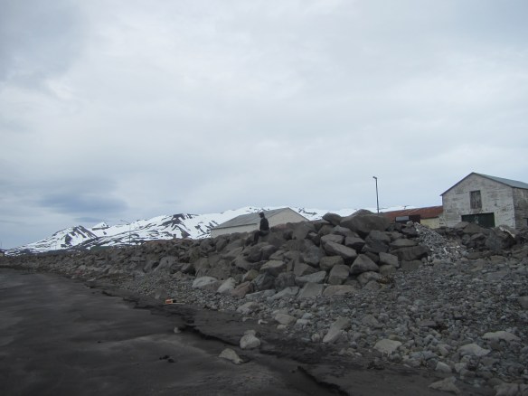 Haganesvík 1.6. 2014