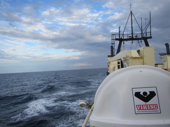 Fimmtudagur 5. júní, 4 dagur í ferð.