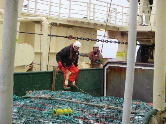 Sunnudagur 8. júní 