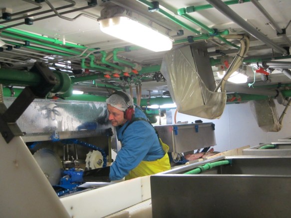 Þriðudagur 10. júní. Júlli á hausaranum.