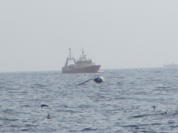 11. júní 2014- Sigurbjörg