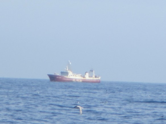 11. júní 2014- Snæfellið.