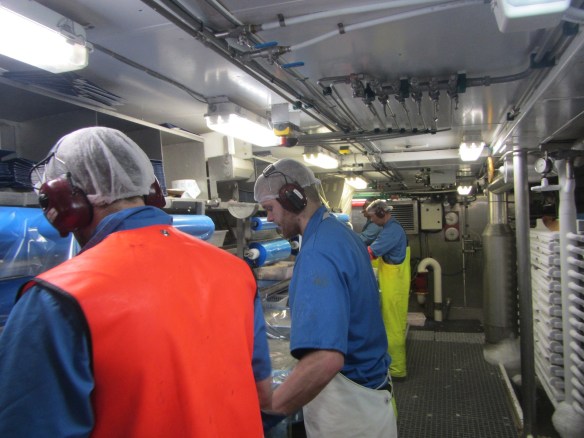 12. júní. Nokkrar myndir úr vinnslunni.