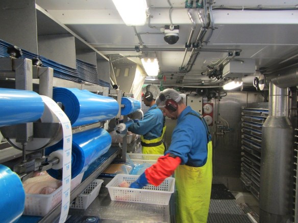 12. júní. Nokkrar myndir úr vinnslunni.