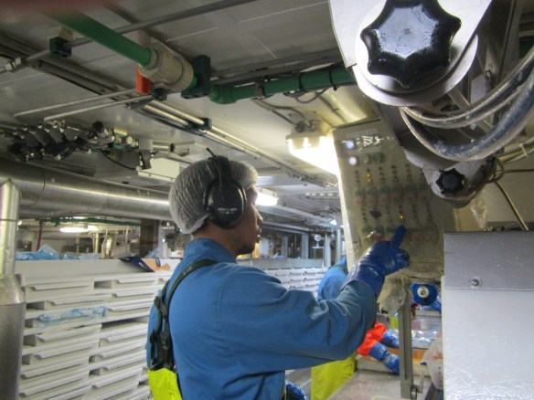 12. júní. Nokkrar myndir úr vinnslunni.