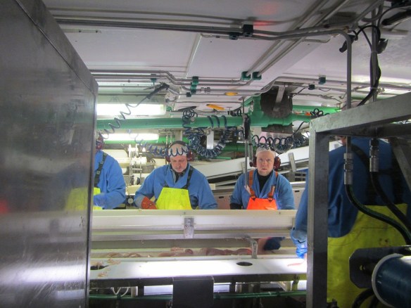 12. júní. Nokkrar myndir úr vinnslunni.