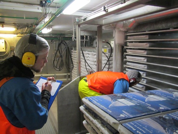 12. júní. Nokkrar myndir úr vinnslunni.