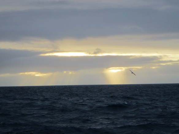 13 júní sólstafir.