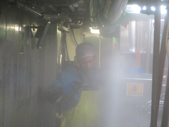 13. júní. Hin vaktin í vinnslunni.