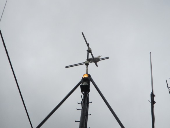 14. júní. Gott útsýni.