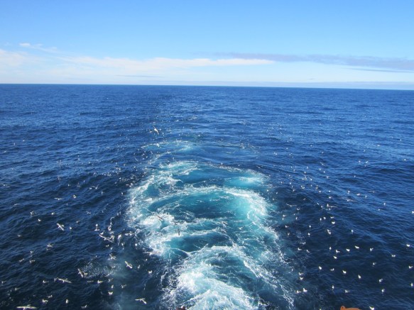 21. júní útsýnið úr gálganum.