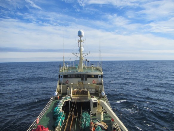 21. júní útsýnið úr gálganum.