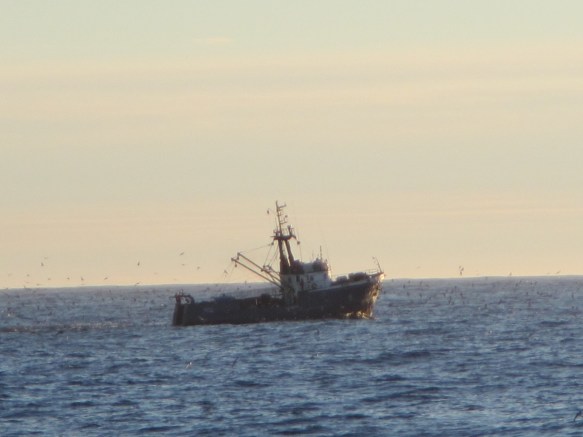 Rússneskur bátur á togi.