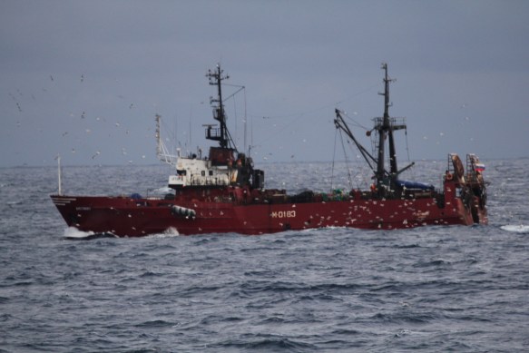 Einn Rússneskur að veiðum.