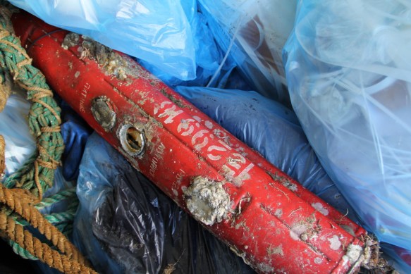 Þetta kom í trollið um daginn