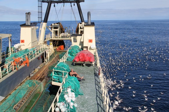Þarna er Maggi búinn að koma sér fyrir í sólinni.