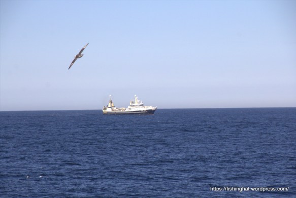 Enniberg frá Færeyjum.