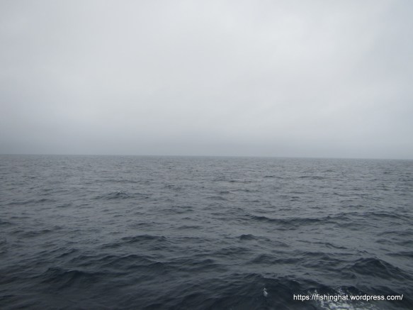 Mynd tekin í nótt, Lítið að sjá nema hafið.