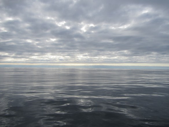 29. júní Heimkoma.