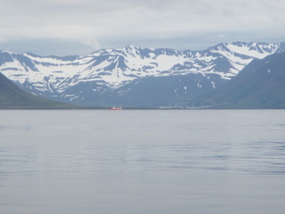 29. júní Heimkoma.