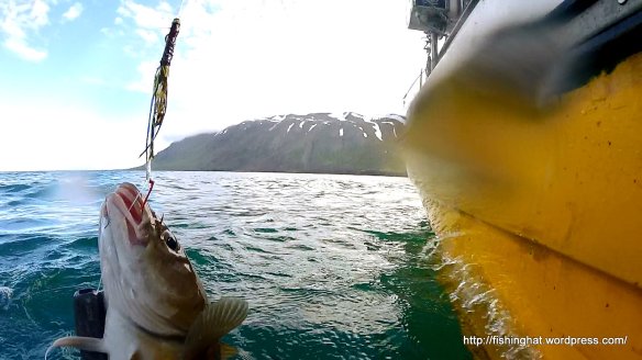 Ísak sjóstöng 2014 (23)