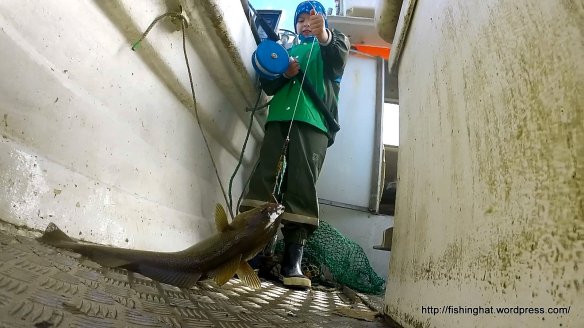 Ísak sjóstöng 2014 (24)