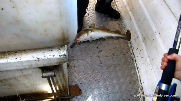 Ísak sjóstöng 2014 (26)