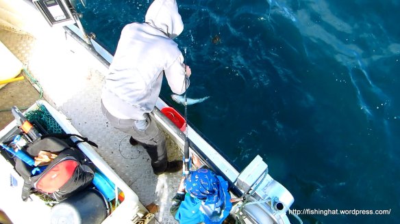 Ísak sjóstöng 2014 (29)