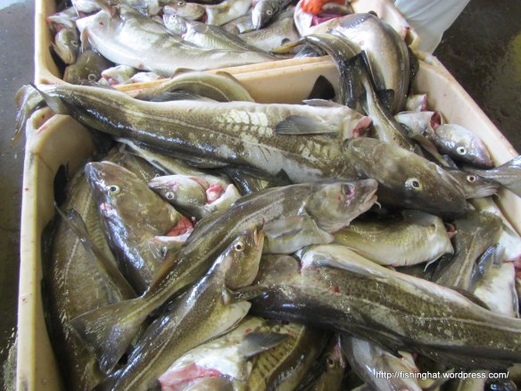 Færafiskur á fiskmarkaðnum.