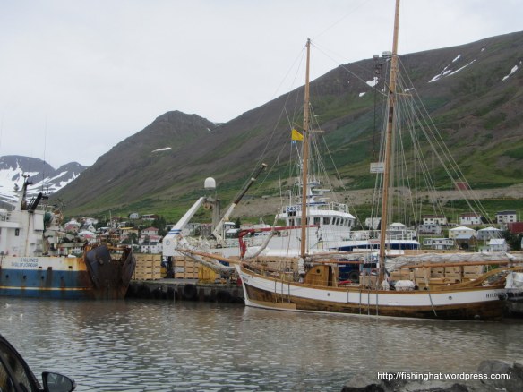 Líf og fjör í höfninni.