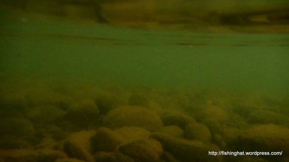 MVI_8764.MOV (0_00_04) 000081