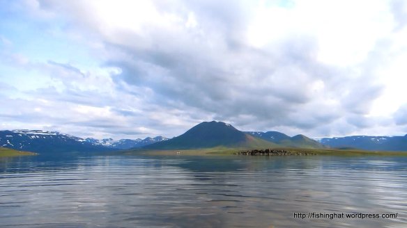 MVI_8764.MOV (0_00_12) 000082