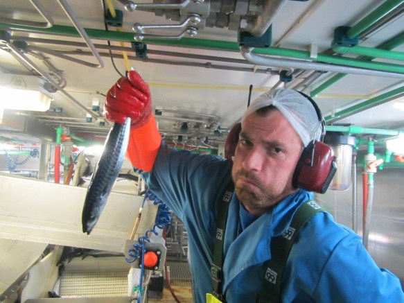 ???????????????????????????????