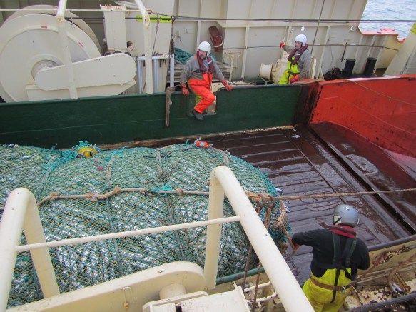 ???????????????????????????????