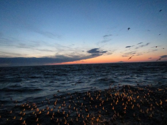 ???????????????????????????????