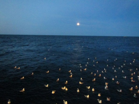 ???????????????????????????????