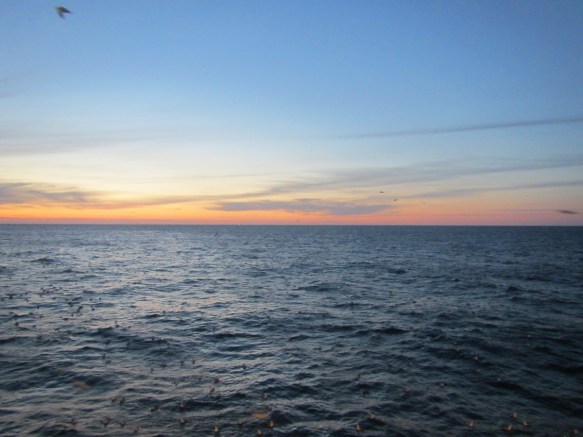 ???????????????????????????????