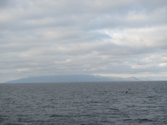 ???????????????????????????????