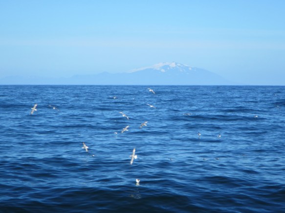 ???????????????????????????????