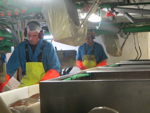 ???????????????????????????????