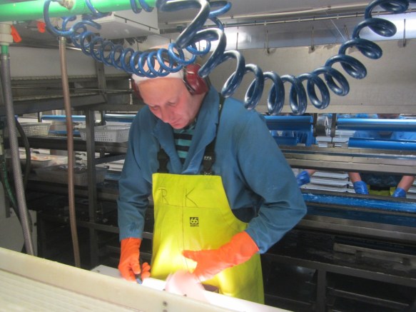 ???????????????????????????????