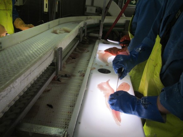 ???????????????????????????????